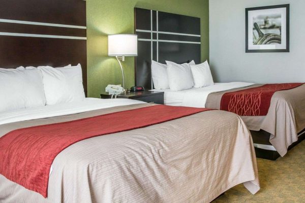 Comfort Inn & Suites Maumee - Toledo (I80-90)